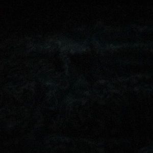 Meet your Posher, Tamara